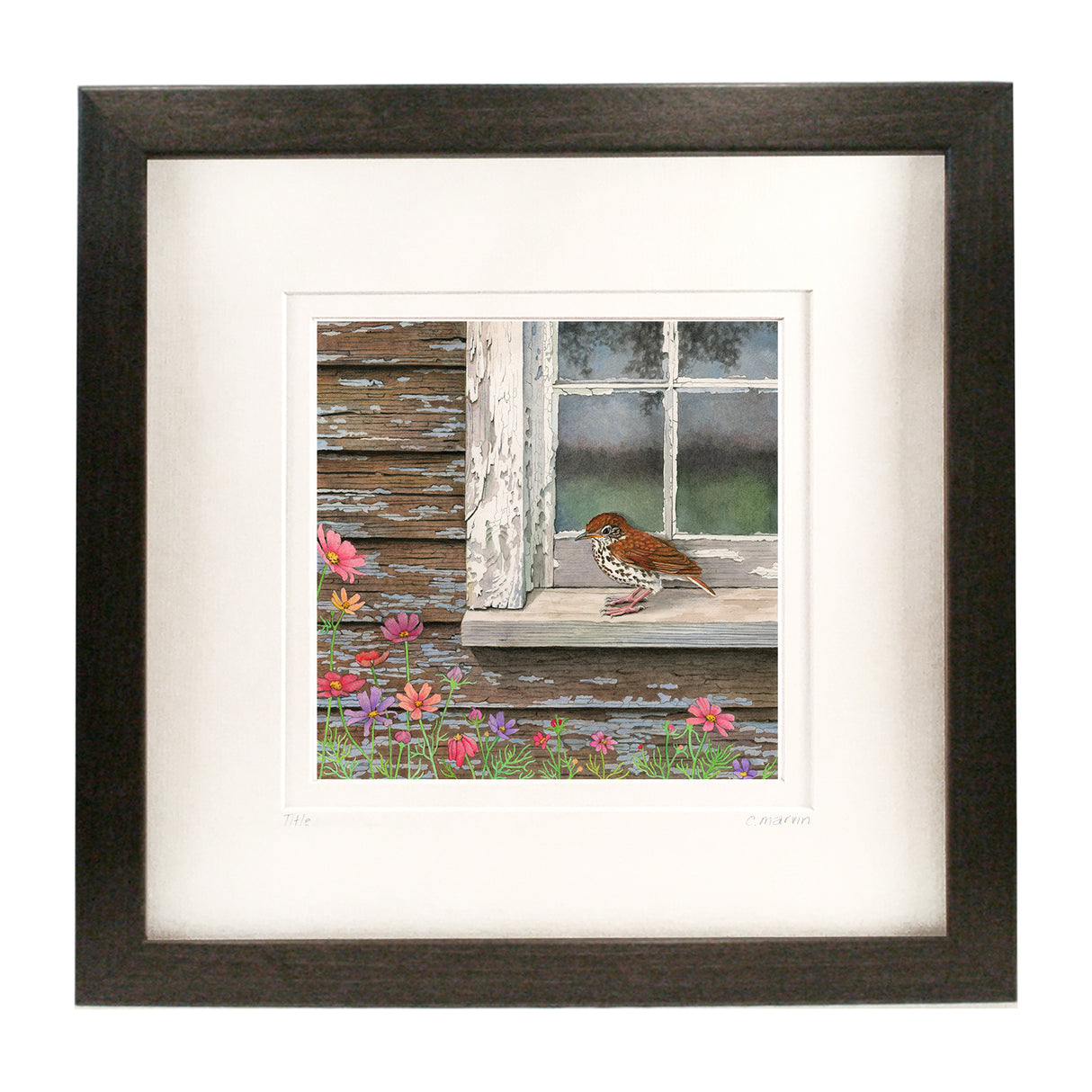 Wood Thrush at the Window