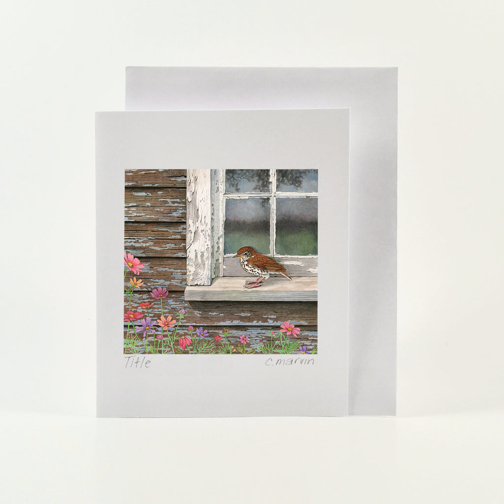 Wood Thrush at the Window - Wholesale Art Cards